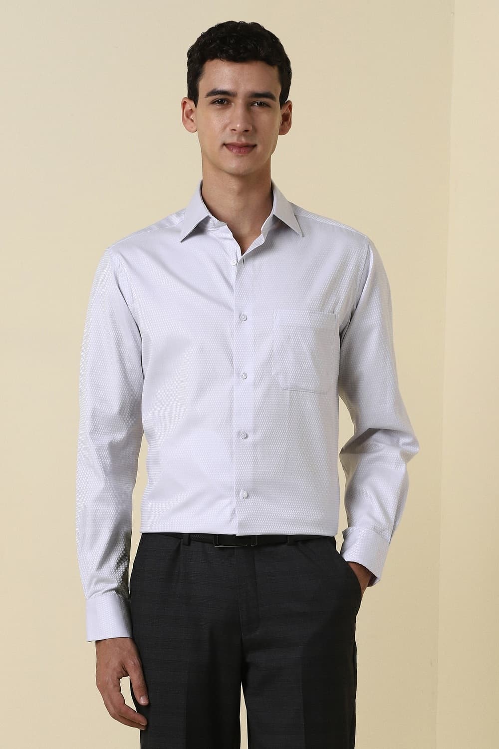 Men Light Grey Textured Full Sleeves Wrinkle Resistant Formal shirt