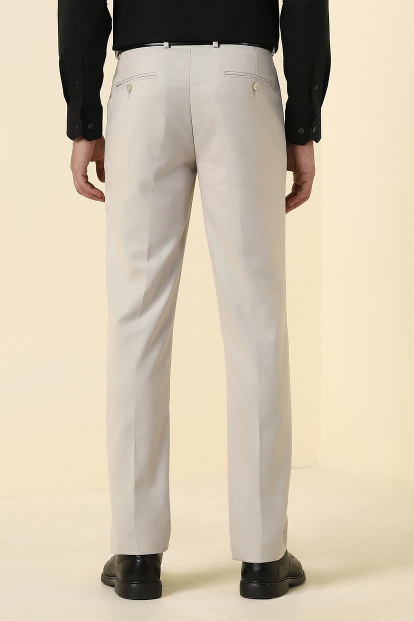 Men Beige Textured Formal Trousers