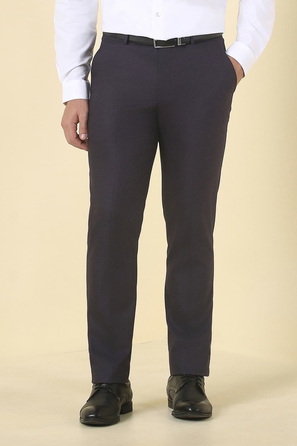 Men Purple Textured Formal Trousers