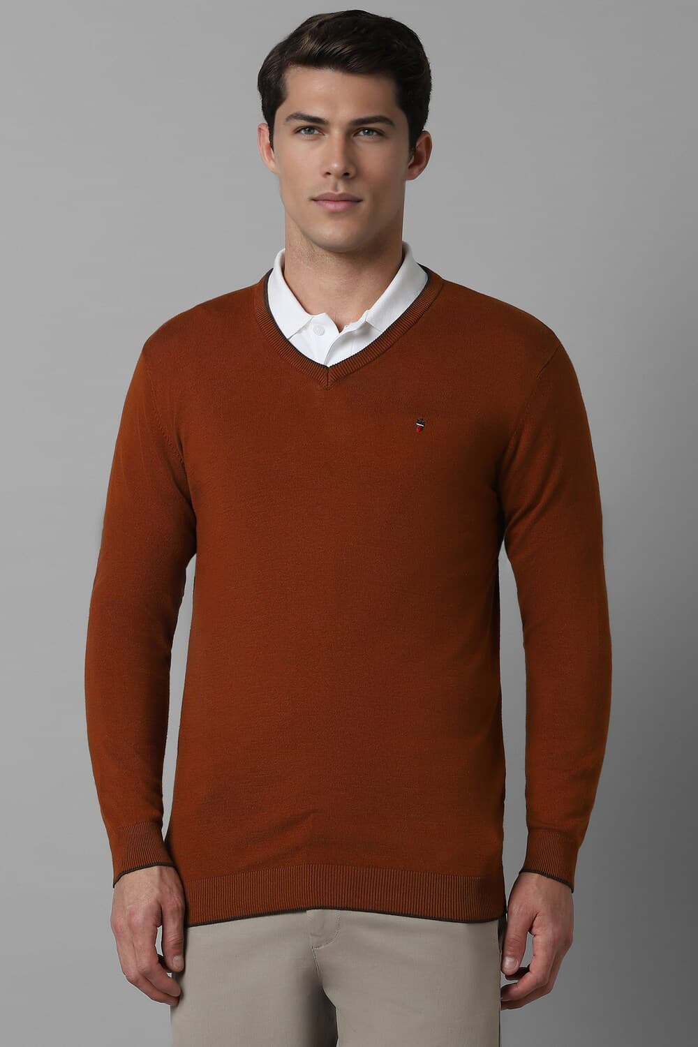 Men Brown Solid V Neck Full Sleeves Sweater | Louisphilippe