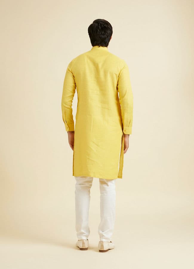 Sunshine Radiance Linen Kurta