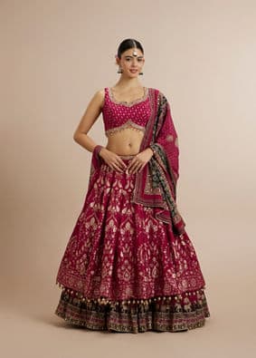 Embroidered Lehenga