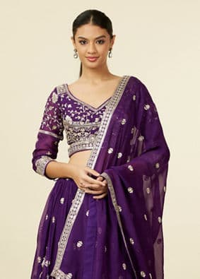 Embroidered Lehenga