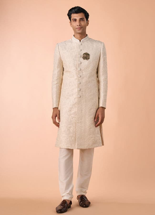 Elegant Cream Fantasy Sherwani