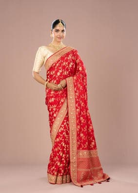 Sequin Saree