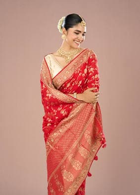 Sequin Saree