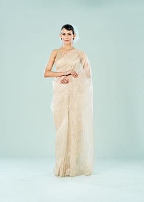 Sequin Saree