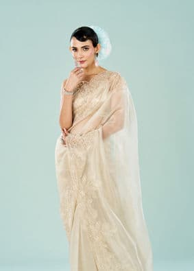 Sequin Saree