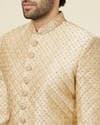 Antique Gold Stone Work Sherwani Set
