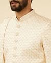 Rosewater Pink Petal & Fern Patterned Sherwani Set