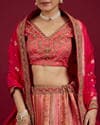 Carnation Pink Aari Embroidered Benarasi Lehenga