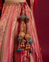 Carnation Pink Aari Embroidered Benarasi Lehenga
