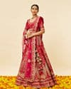 Rani Pink Embellished Bridal Lehenga