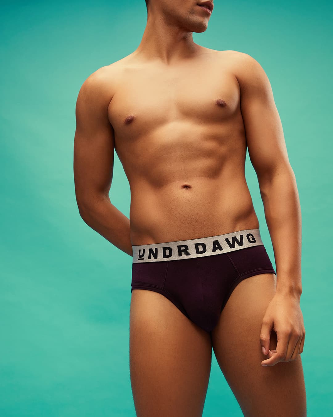 Buy Men's Wine Modal Brief Online in India at Bewakoof Buy Men's Wine Modal Brief Online in India at Bewakoof