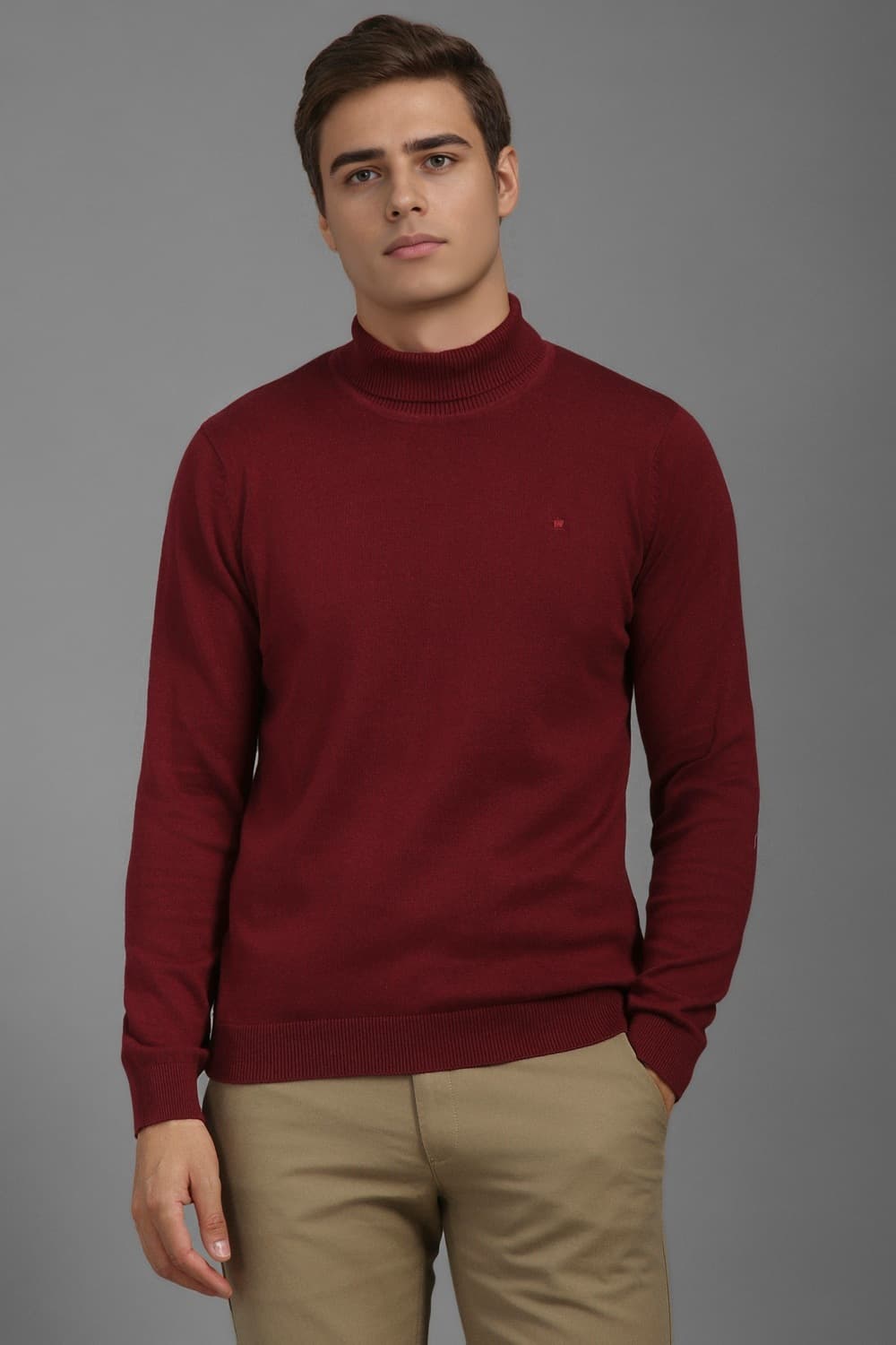 Men Maroon Solid Turtle Neck Full Sleeves Sweater | Louisphilippe Men Maroon Solid Turtle Neck Full Sleeves Sweater | Louisphilippe