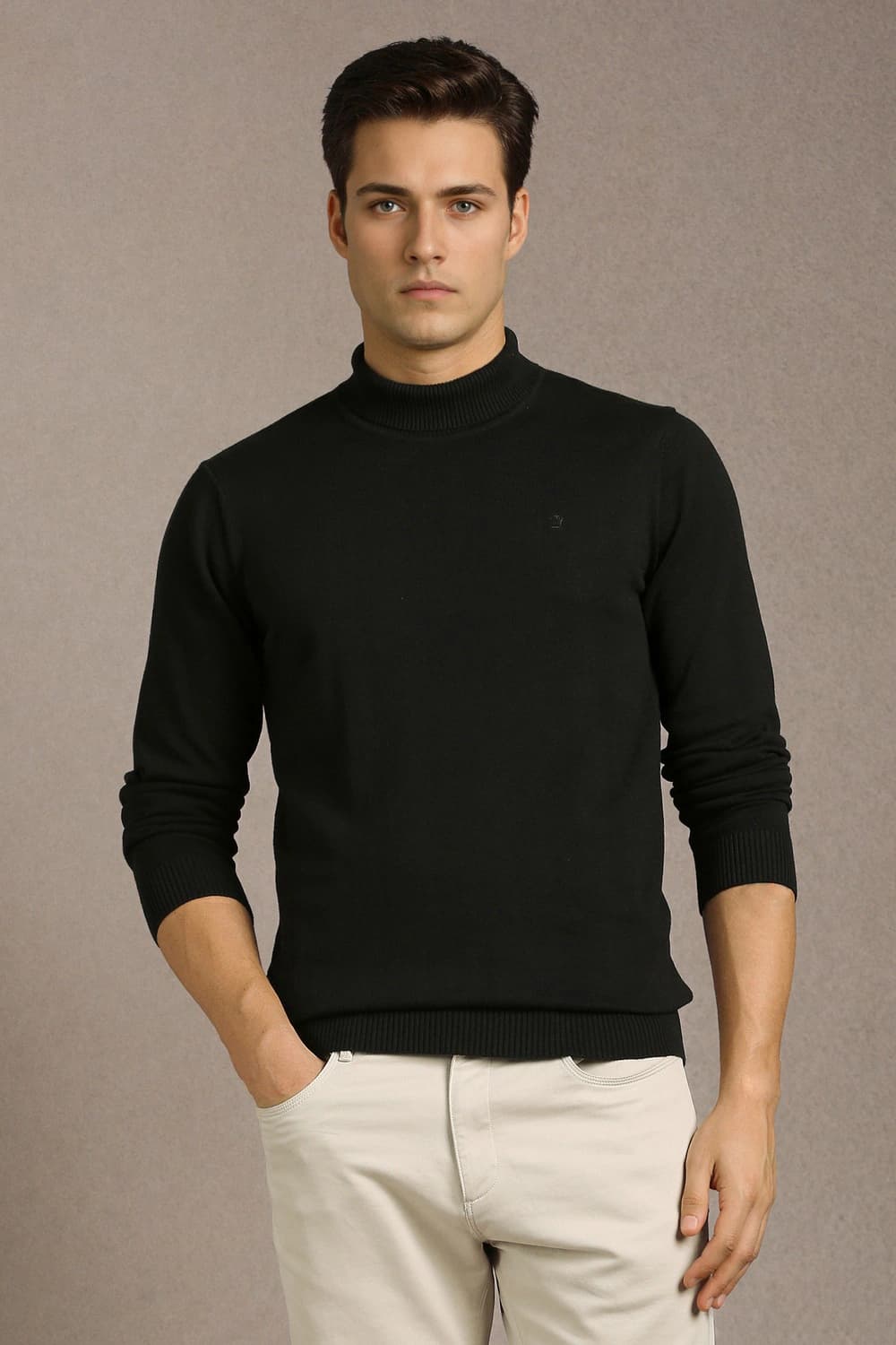 Men Black Solid Turtle Neck Full Sleeves Sweater | Louisphilippe Men Black Solid Turtle Neck Full Sleeves Sweater | Louisphilippe