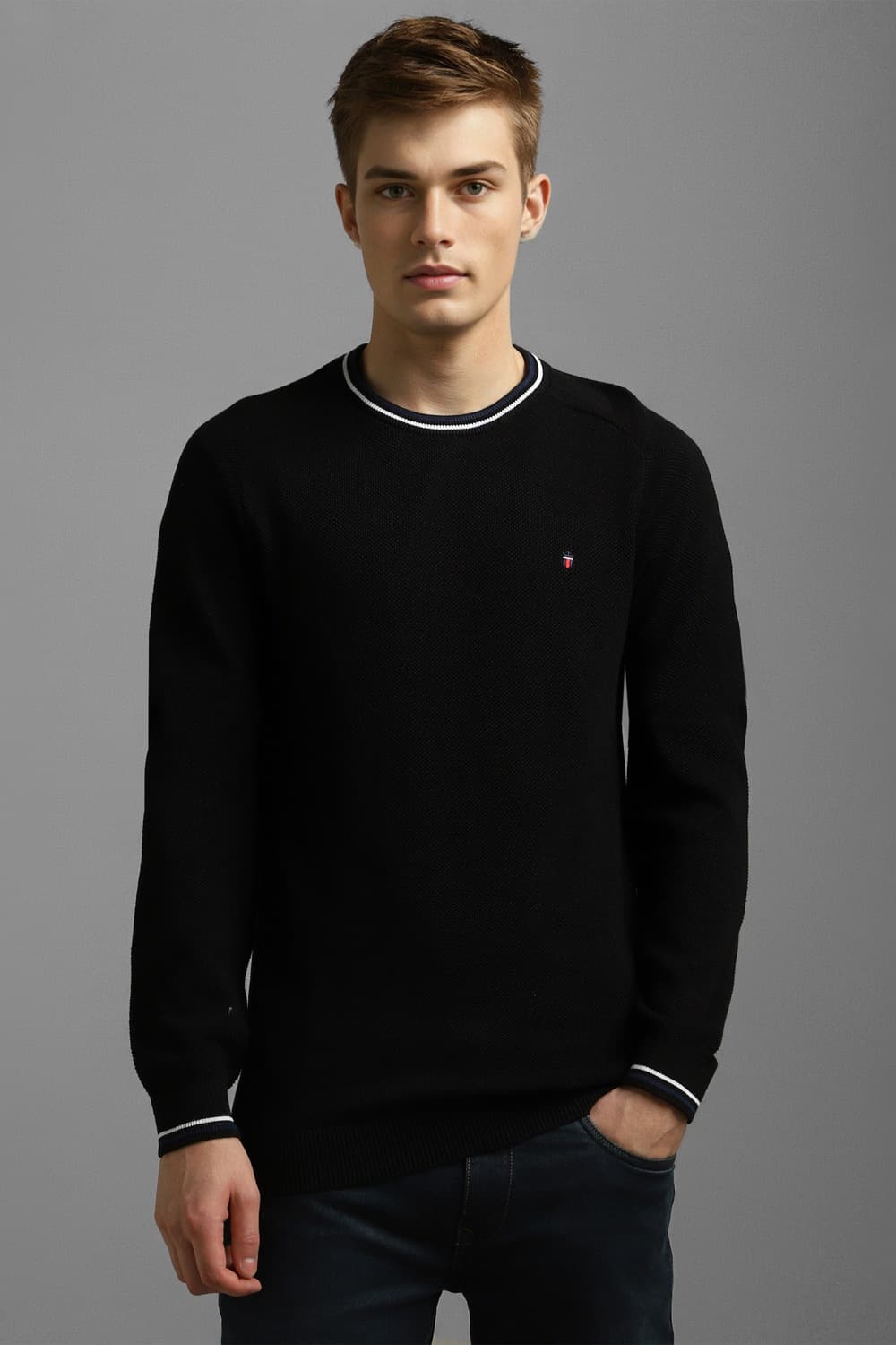 Men Black Textured Crew Neck Full Sleeves Sweater | Louisphilippe Men Black Textured Crew Neck Full Sleeves Sweater | Louisphilippe