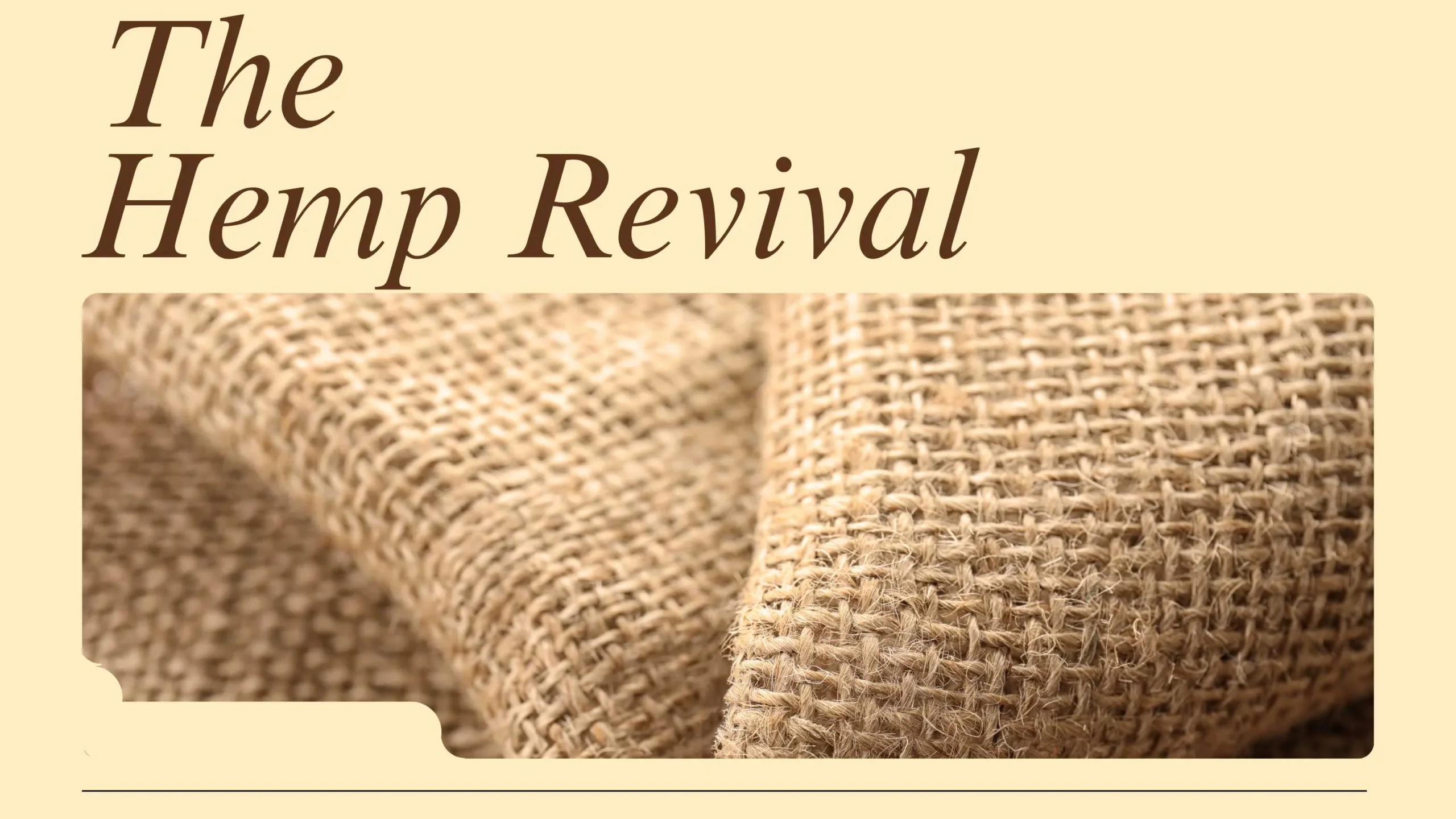 Why Hemp Fabric Is the Future of Sustainable Fashion Why Hemp Fabric Is the Future of Sustainable Fashion