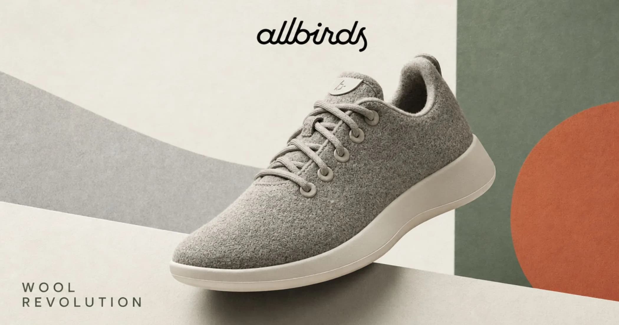 Allbirds: How a Simple Wool Shoe Changed the Footwear Industry Allbirds: How a Simple Wool Shoe Changed the Footwear Industry